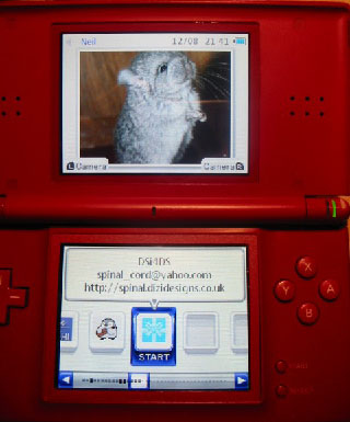 dsi homebrew dsi homebrew